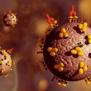 Cjepivo protiv HIV-a. Postoji li cjepivo protiv HIV-a?