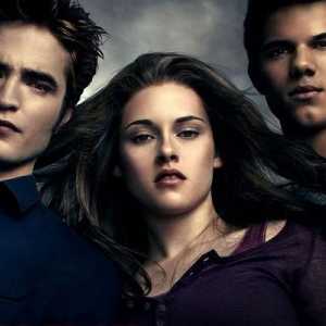 Vampirska saga `Twilight`: knjige u redu