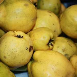 Djetlić čuva limunom i orasima: korak po korak recept