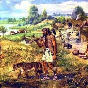 Najvažniji izumi i otkrića primitivnih ljudi: opis, povijest i zanimljive činjenice
