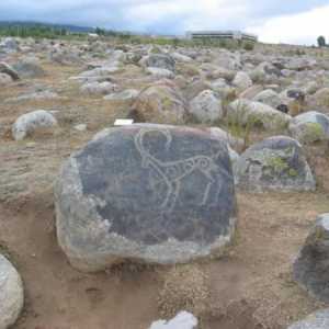 Velika arheološka otkrića: opis, povijest i zanimljive činjenice