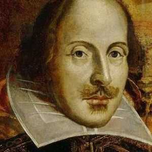 Veliki čovjek i njegova biografija. William Shakespeare