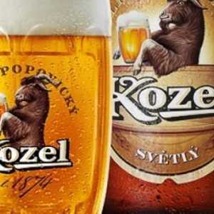 `Velkopopovitskiy Kozel`: povijest, producent i recenzije češkog piva