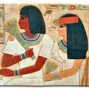 Divote u drevnom Egiptu. Grobnice egipatskih plemića i dužnosnika