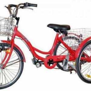 Bicikl za djecu s cerebralnom paralizom: značajke, vrste, karakteristike