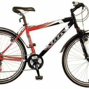 Bicycle Stels Navigator 600: specifikacije, upute, recenzije, fotografije