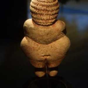 Venus Willendorf: opis, veličina, stil. Venus Willendorf 21. stoljeće
