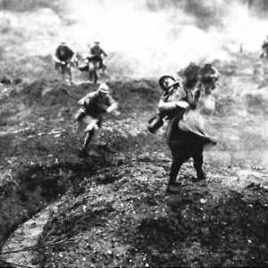 "Verdun mesarski mesar" Prvog svjetskog rata. Što se dogodilo u Verdunu 1916. godine?