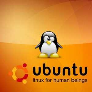 Ubuntu verzije: pregled, značajke, vrste i recenzije. Kako saznati verziju Ubuntua?
