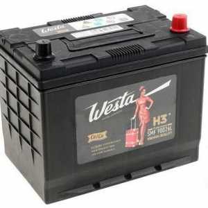 `Vesta` - automobilske baterije: vrste, recenzije