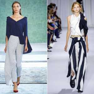 Vrste i stilovi ženskih hlača. Pregled, značajke kombinacije i preporuke stručnjaka