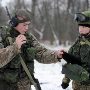 Виды и рода войск Вооруженных сил РФ и их назначение
