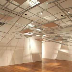 Vrste spuštenih stropova: materijali, konstrukcije, instalacije