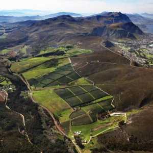 Vina Južne Afrike: recenzije
