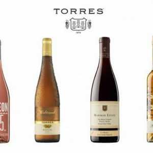 Vina Torres (Torres). Španjolska vina: imena, recenzije