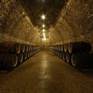 Azerbajdžanski vina savršen je dodatak svakom odmoru. Vrste, opis i recenzije