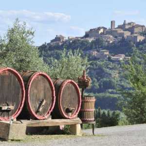 Vino `Montepulciano`: opis i recenzije