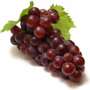 Grapes `nizina: karakteristika i opis ocjene. Briga za kulturu grožđa