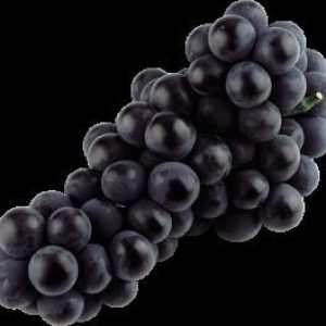 Grape Strashensky: karakterizacija sorte