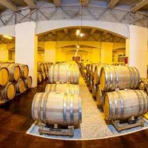 Vinarija Krasnodarskog područja: povijest, opis. Gdje su najbolje vinarije Kubana?