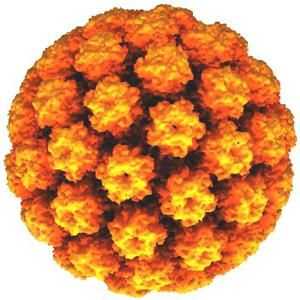Ljudski papiloma virus: simptomi, načini infekcije, dijagnoze i liječenja