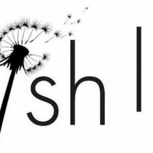 Wish Sheets: kako nadoknaditi, popis želja i darove