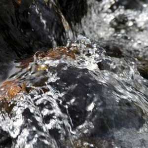 `Vittel` - voda koju stvara priroda