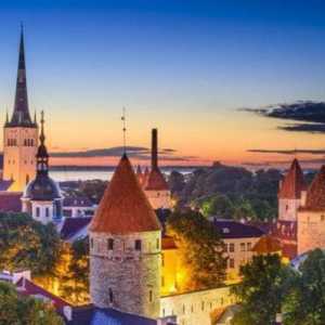 Estonski Visa centar u Moskvi: sve što trebate znati o tome