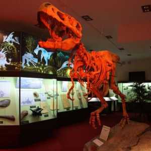 Vyatka Paleontološki muzej: opis, adresa i vremenski raspored