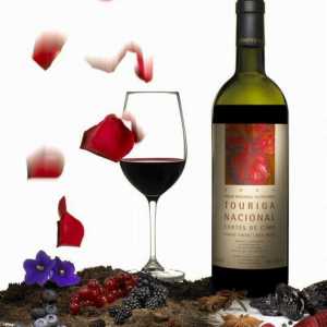 Ukusno portugalsko vino: pregled, vrste, sastav i recenzije