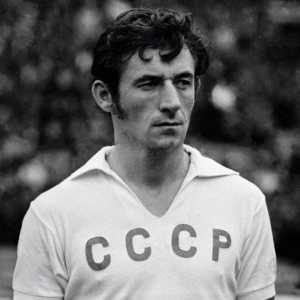 Vladimir Alexandrovich Kaplichny - legendarni branitelj