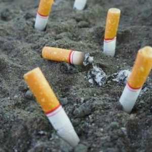 Utjecaj na ljudsko tijelo nikotina. O opasnostima pušenja