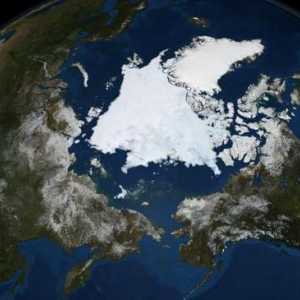 Vojna baza Ruske Federacije Arctic Shamrock: opis, sastav i zanimljive činjenice