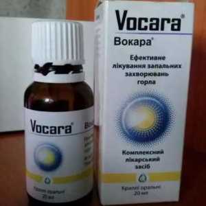 `Vokara`: upute za uporabu, recenzije i analozi