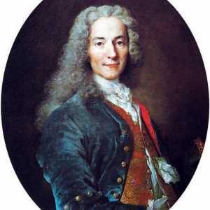 Voltaire: osnovne ideje. Filozofske ideje Voltairea