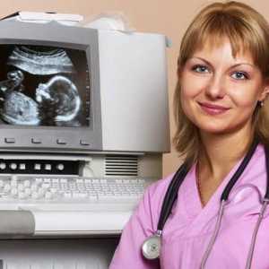 Liječnik ultrazvučne dijagnostike: značajke rada, dužnosti i odgovora