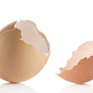 Štetu i korist ljuske jaja. Korištenje ljuske jaja