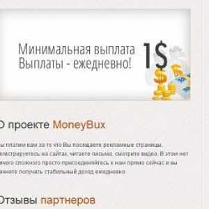 Sve o mjestu Moneybux: recenzije, karakteristike, princip rada