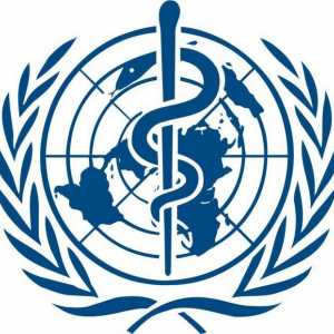 Svjetska zdravstvena organizacija (WHO): charter, ciljevi, norme, preporuke