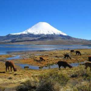 Ljuljajljako vulkan: gdje se nalazi, geološka povijest i druge činjenice