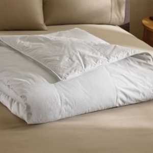 Odaberite pokrivač za 2 spavaće sobe: veličina, punilo i cijena
