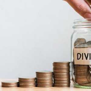 Isplata dividende osnivaču: korak-po-korak