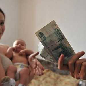 Plaćanja nakon poroda: jednokratna naknada i porodiljni kapital