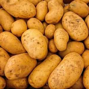 Uzgoj krumpira: metode, tehnologije i uvjeti