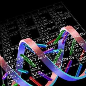 Degeneracija genetskog koda: opće informacije