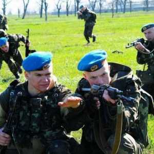 Vrlo mobilne postrojbe za slijetanje (zrakoplovne trupe) Ukrajine