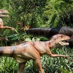 Выставка динозавров: ВДНХ Москва и Нижний Новгород