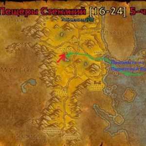 World of Warcraft: Lutanje špilja