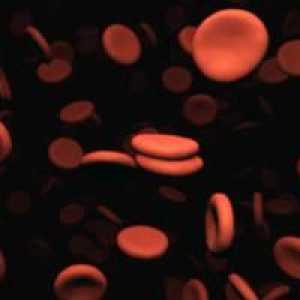 Zašto je potreban albumin u krvi?