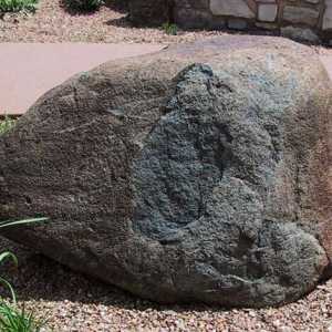 Zagonetka o kamenu je zanimljiva i informativna